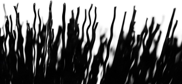 Щетка для очистки колес Muc-Off (369) - 3