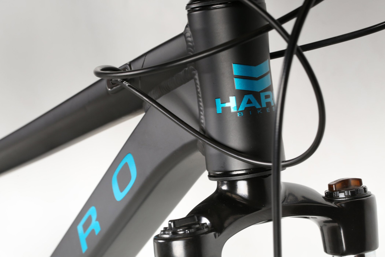 Горный велосипед Haro Flightline One 26 (2021) - 2