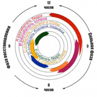 ���������� ������: ����.